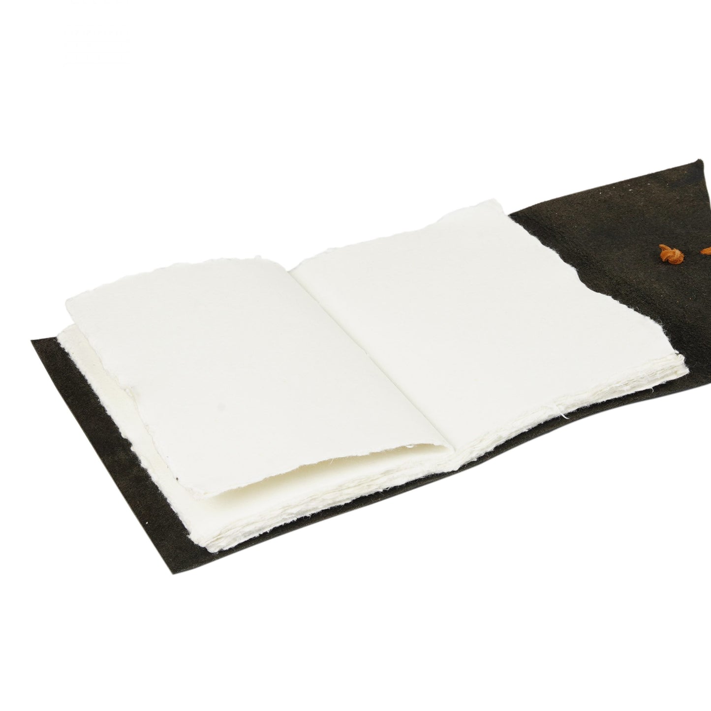 Vintage Leather Journal – Black Resistance